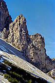 Parco Naturale Fanes-Senes-Braies. La traversata da San Vigilio di Marebbe al lago di Braies, 
lungo la salita verso il Passo Croce. 